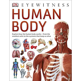 Nơi bán Human Body - Giá Từ -1đ